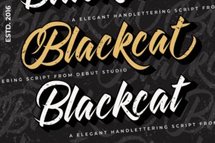 Blackcat: The Handwritten Font That Feels Like a Favorite Memory