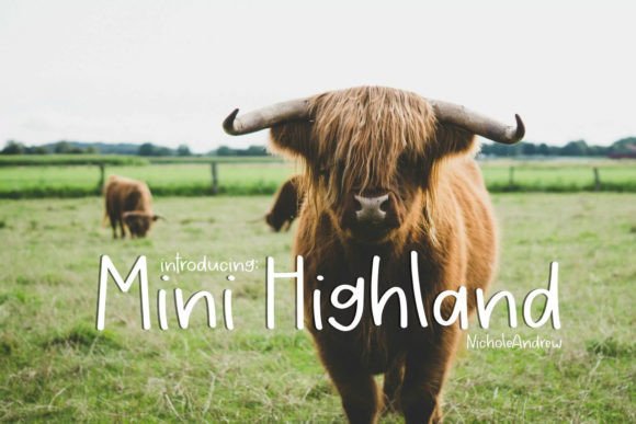 Mini Highland: The Handwritten Font for Modern Crafters